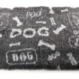 381580.jpg