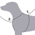 396160_01.jpg