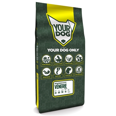 Yourdog Anglo-Français De Petit Vénerie Senior