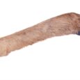 384609_01.jpg