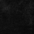 453346_03.jpg